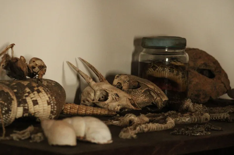 Keep It Forever: The People Who Are Saving the Physical World One Object at a Time